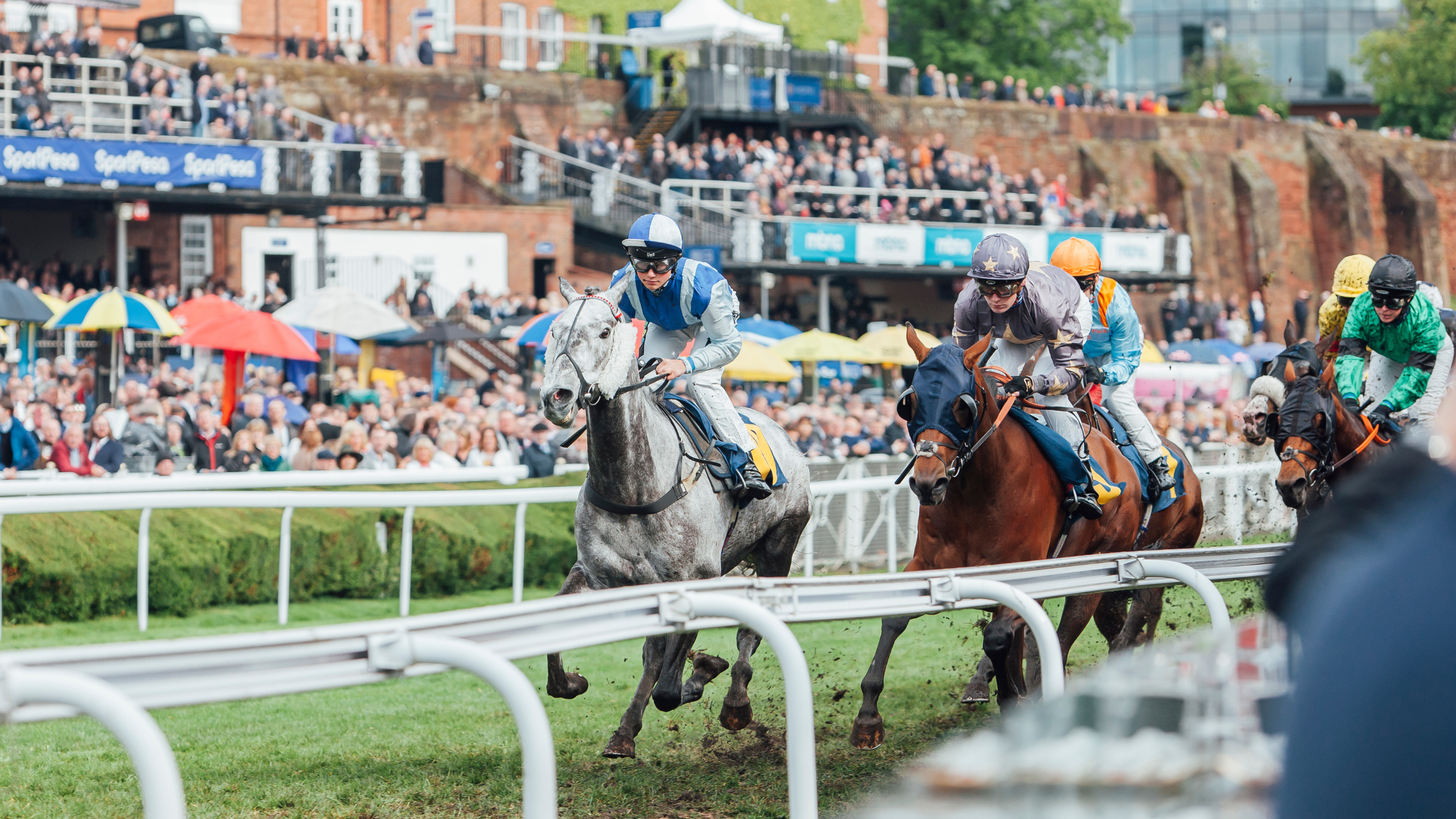 chester races