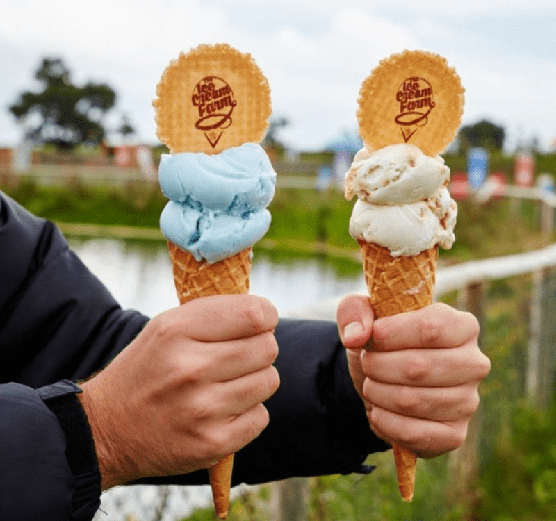 The Icecream Farm Family Breaks at Carden Park