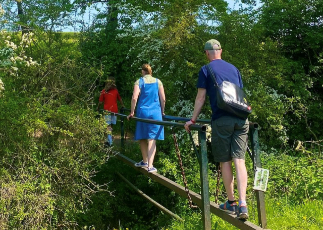 crocky trail