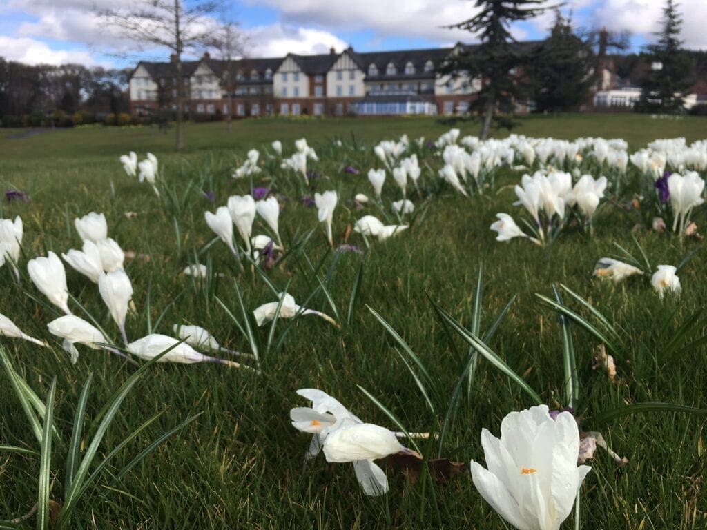 Spring around the estate