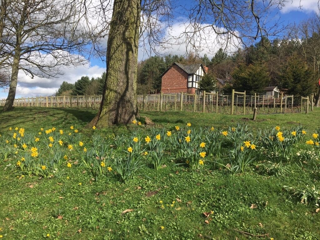 Spring around the estate