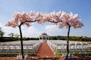 2019 Wedding Events