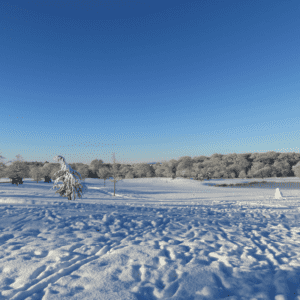 Carden Park In The Snow