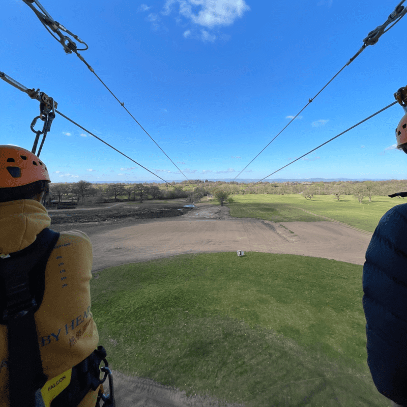 Zip wire