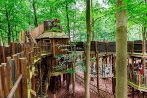 BeWILDerwood