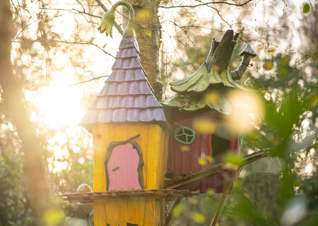 BeWILDerwood Forest