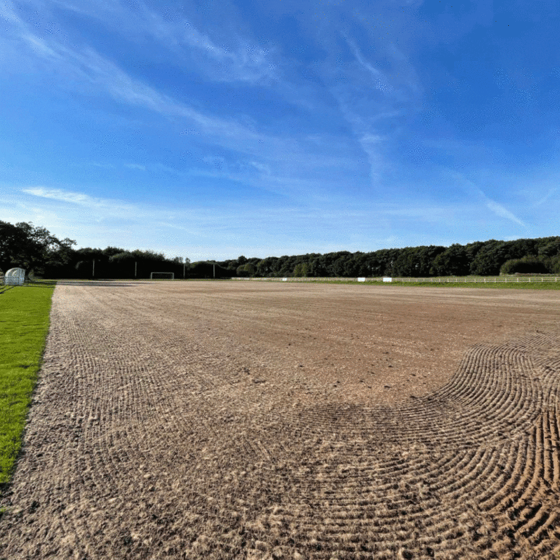 Big sports pitch surrounded by trees