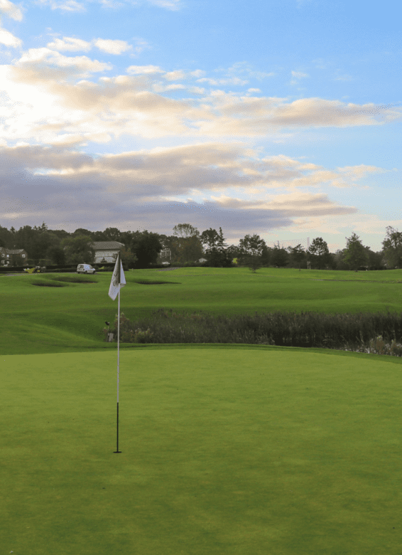 Winter Golf & Buggy