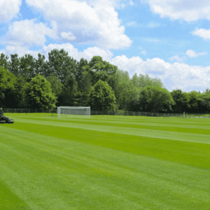 Carden Park Football Pitch