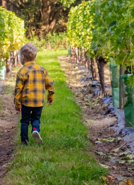 February Half-Term UK Breaks