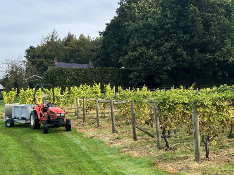 Carden Park&#8217;s 2023 Vineyard Harvest