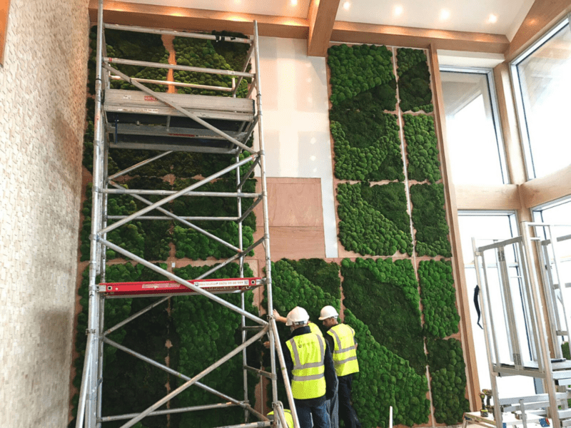 The Spa&#8217;s Moss Wall Feature