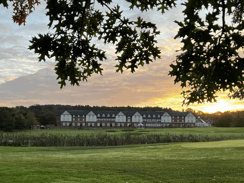 From Acorns to Oaks: A Commitment to a Greener Future