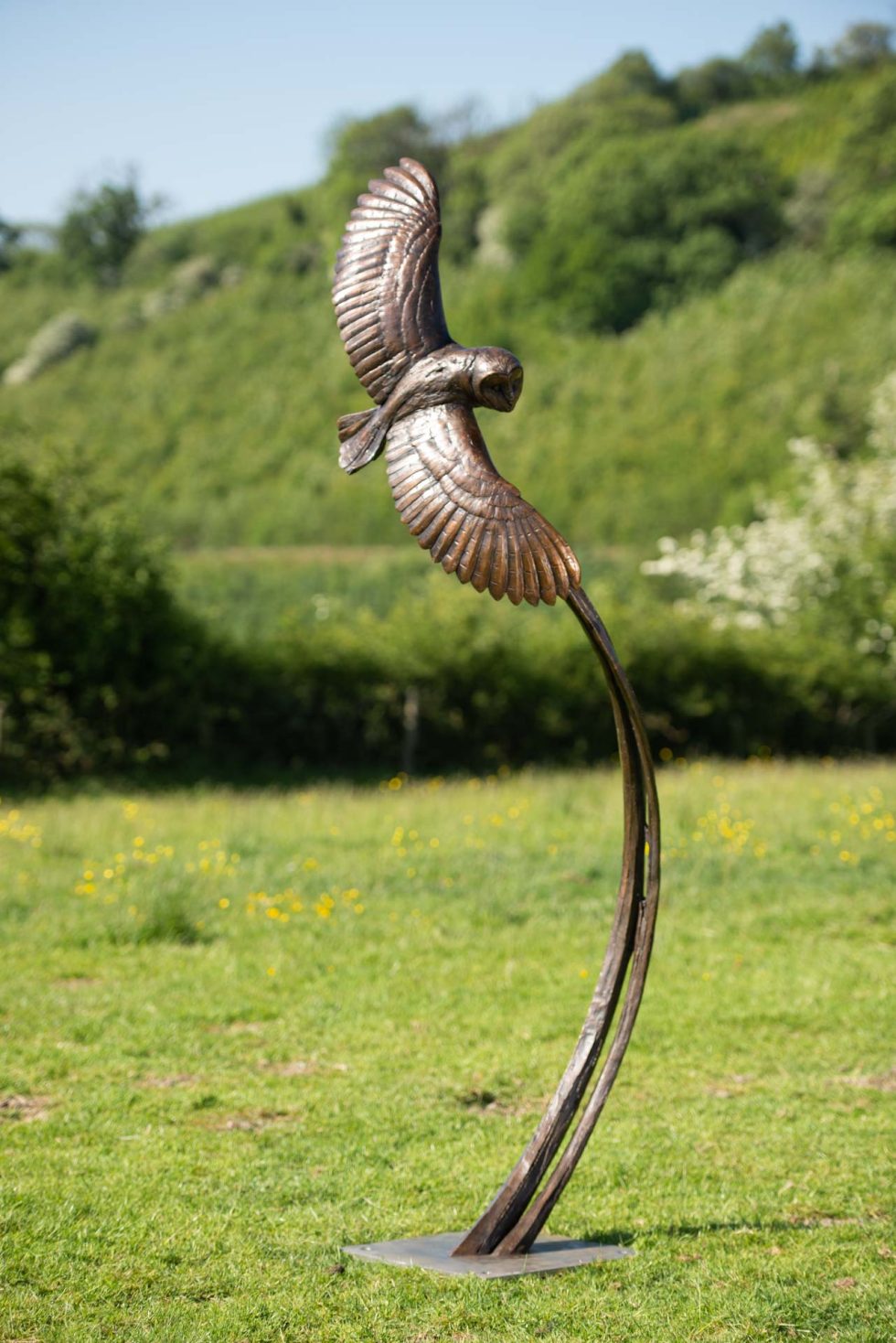 Flying Owl