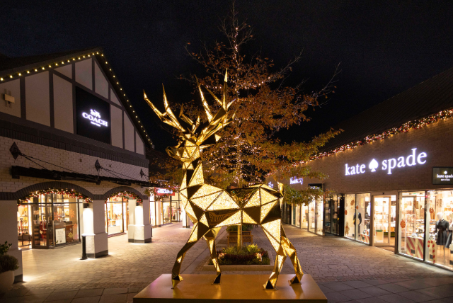 What&#8217;s On For Families This Christmas In Cheshire?