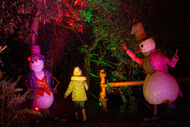 What&#8217;s On For Families This Christmas In Cheshire?