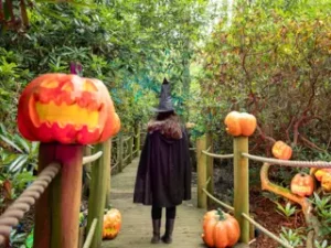 Family Fun This October Half-Term in Cheshire