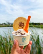 We're fortunate to have an incredible range of attractions local to us at Carden Park 🌟

Whether you're looking to enjoy an ice cream in the sun, a trip to the zoo or discover the magic of BeWILDerwood, there's something for everyone to enjoy 🍦

We're excited to share that our guests can also receive 10% off general admission tickets for Bolesworth International this year 🏇

Book your stay today using the link in our bio

#localattractions #thingstodo #whatson #Cheshire