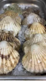 From the kitchen to your table, our talented team of chefs craft every dish to the highest of standards ✨

Have you dined at The Vines? 🍇

#Restaurant #AARosette #Culinary #Food #Scallops #Cheshire